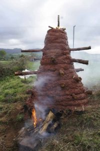 Read more about the article Woodstoke Whangamatā 2012