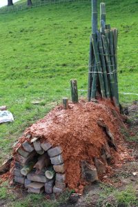 Read more about the article Woodstoke Aotearoa 2016